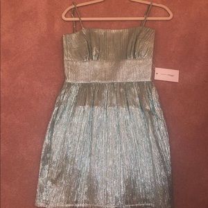 Lovers+friends dress!